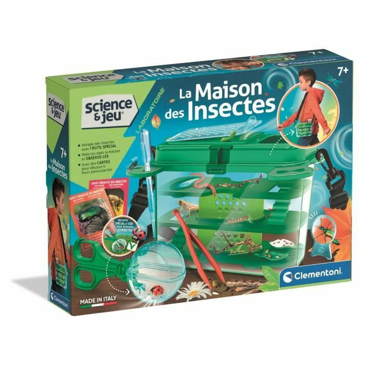 Ein lebendiges Set für Insektenbeobachtung, mit transparentem Behälter, Werkzeugen und Bildkarten.