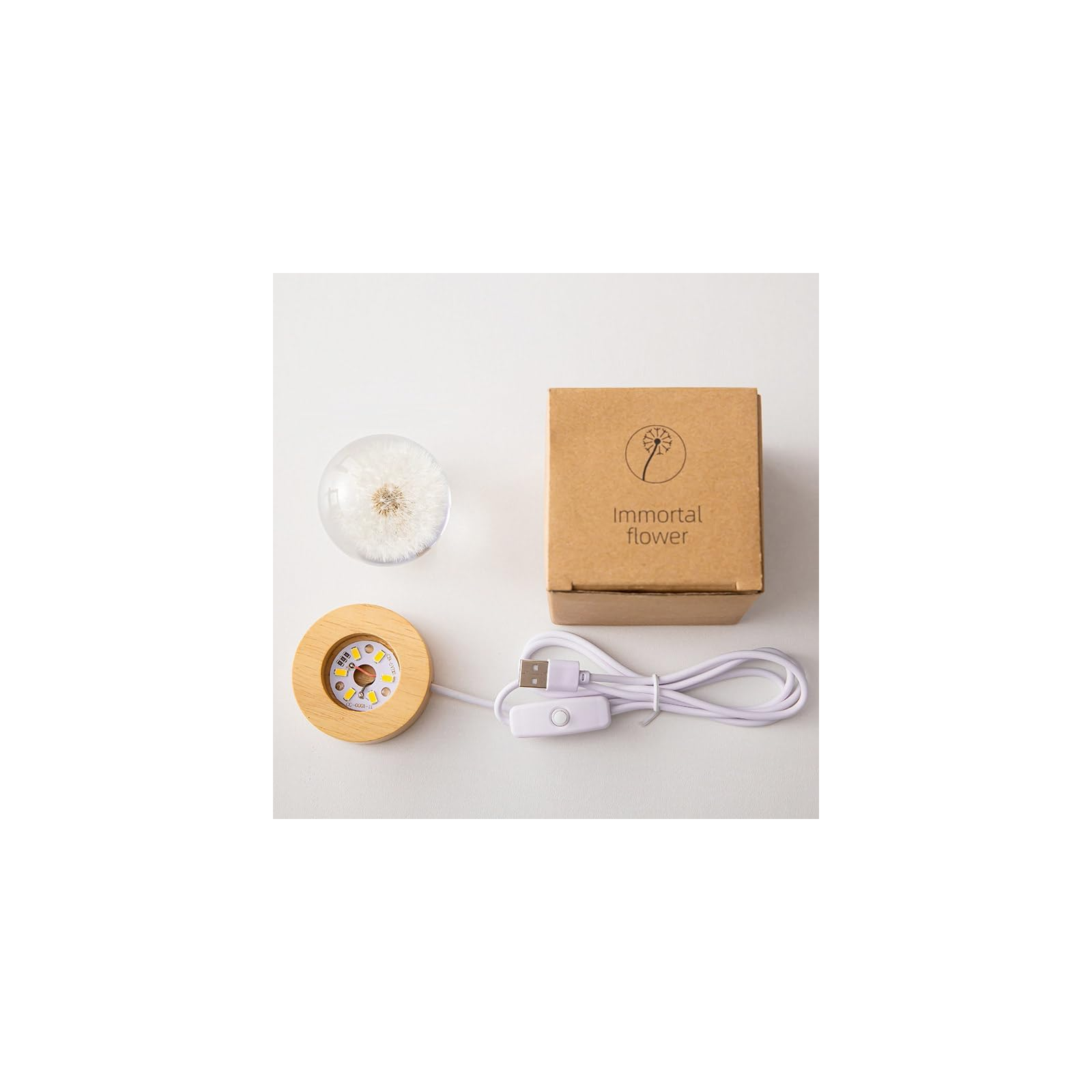 Ein Löwenzahn in einer Glaskugel neben einer Box und einem Holzsockel mit LEDs und USB-Kabel.