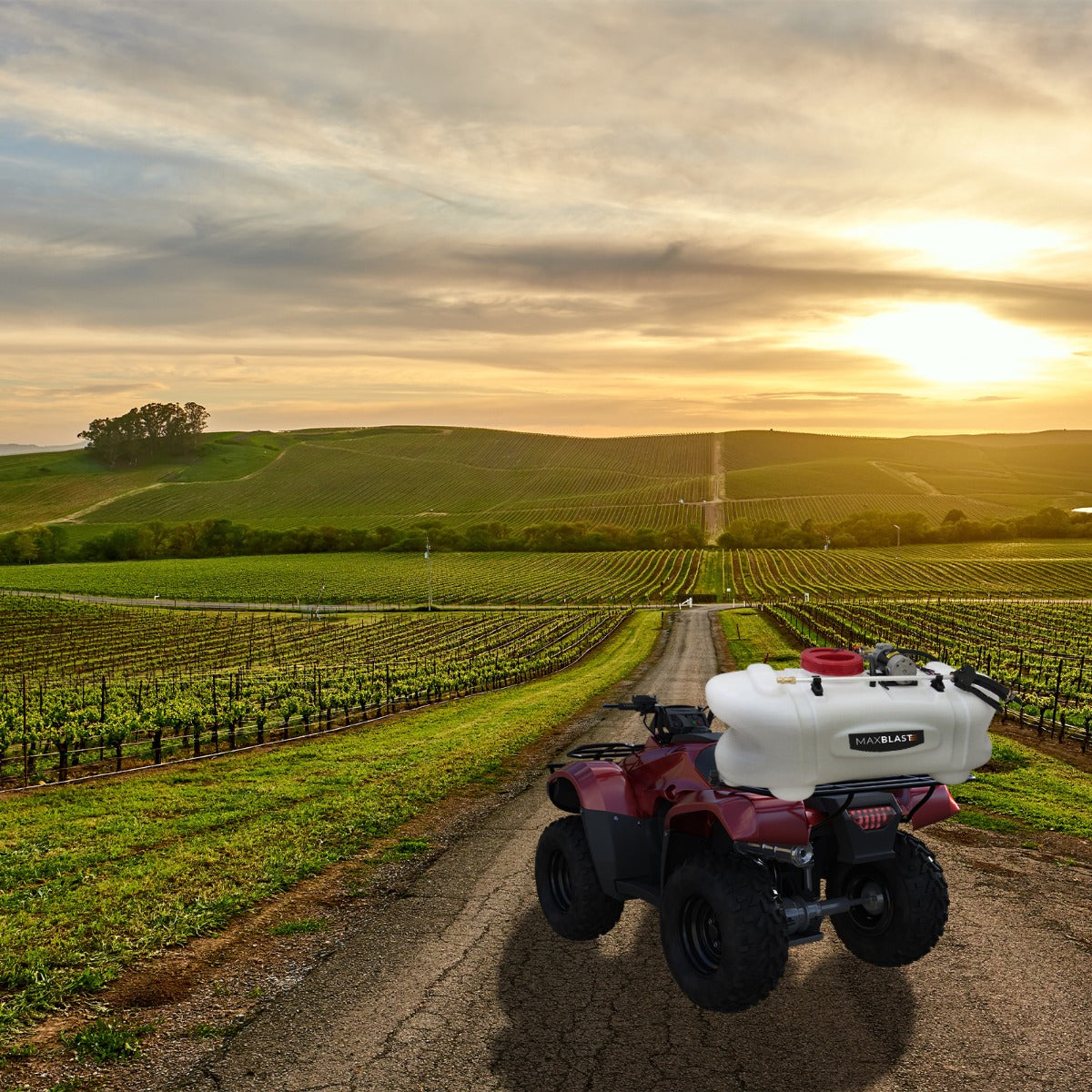 Un ATV rojo con un rociador blanco en un camino de tierra a través de viñedos al atardecer.