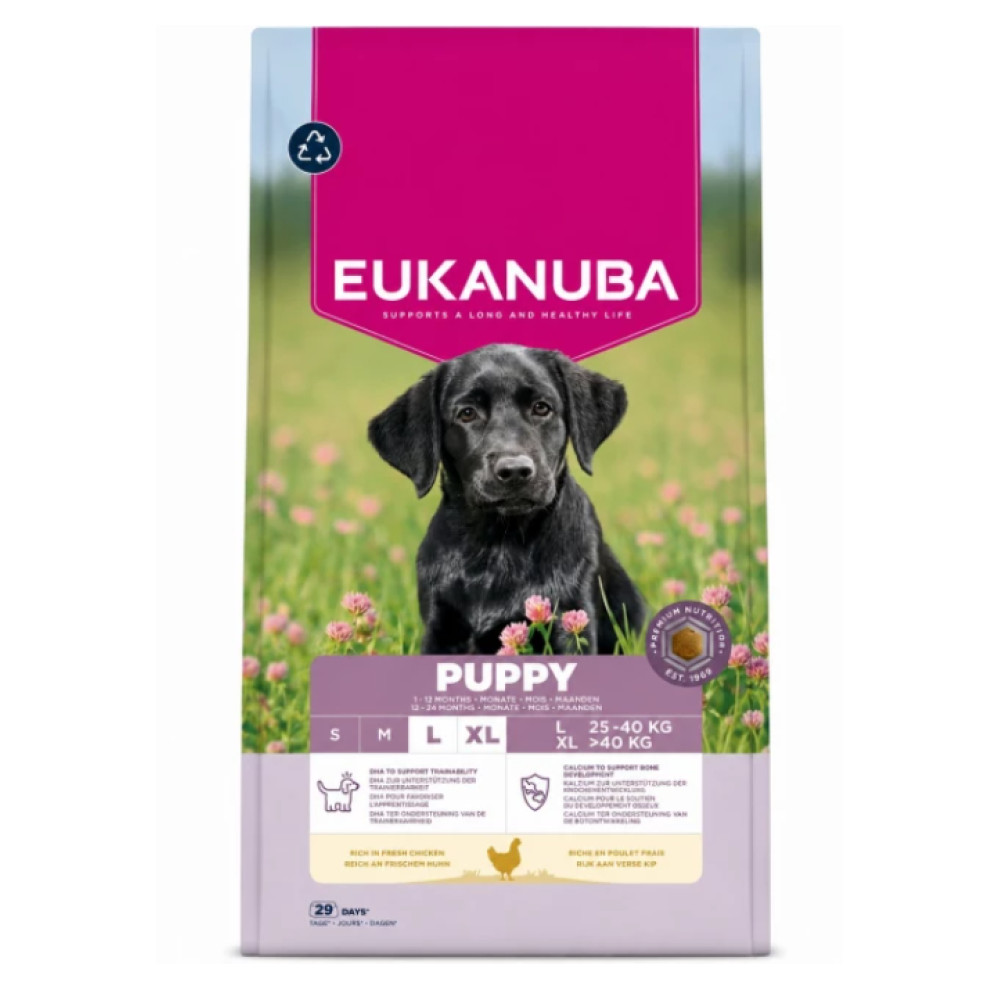 Czarny szczeniak labradora siedzi na trawie przed opakowaniem karmy dla szczeniąt Eukanuba.