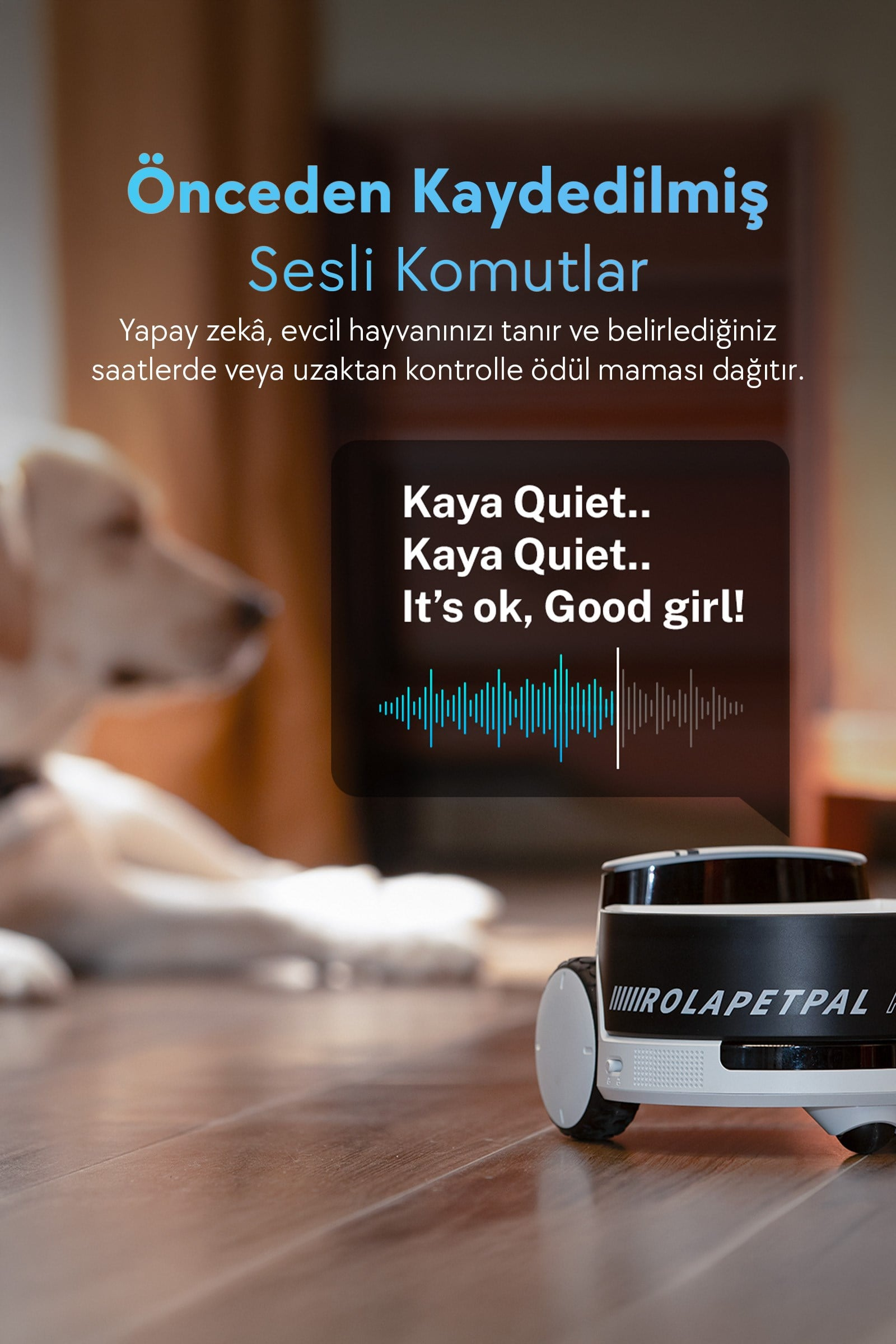 Arka planda köpek olan bir robot. Sesli komutlar hakkında metin.