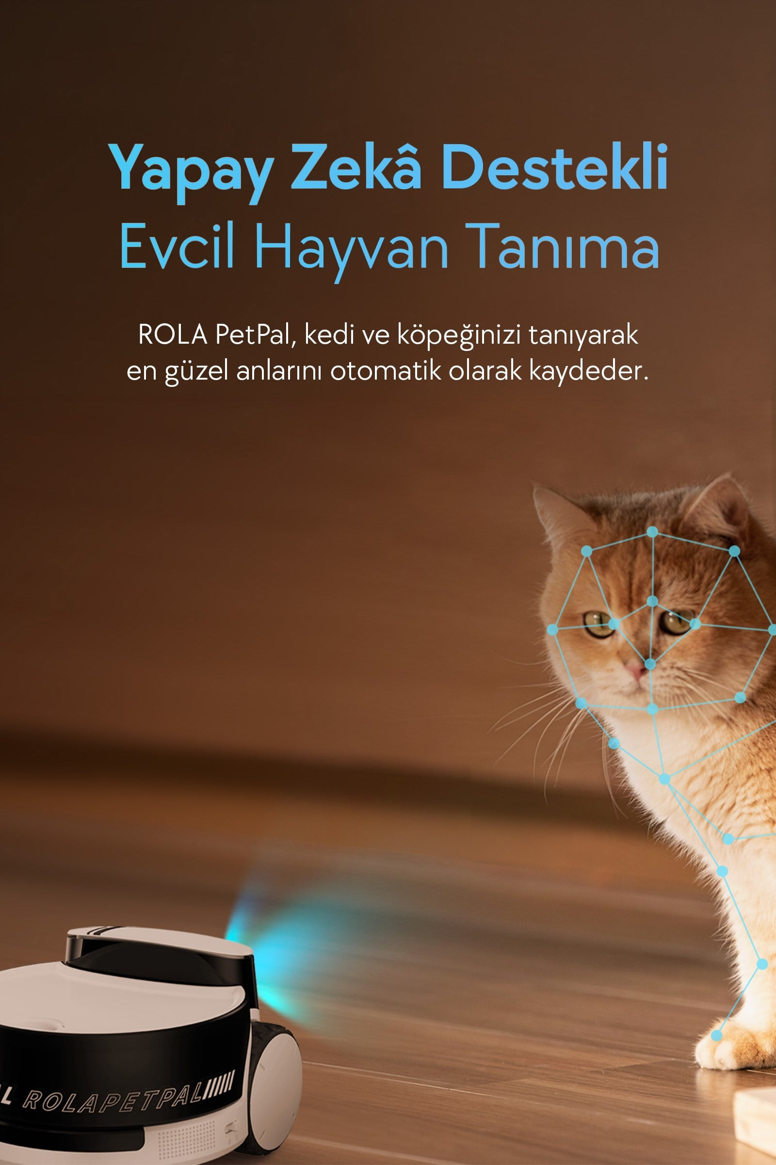 Yapay zeka ile tanınan bir kedi ve aktif bir robot süpürge.