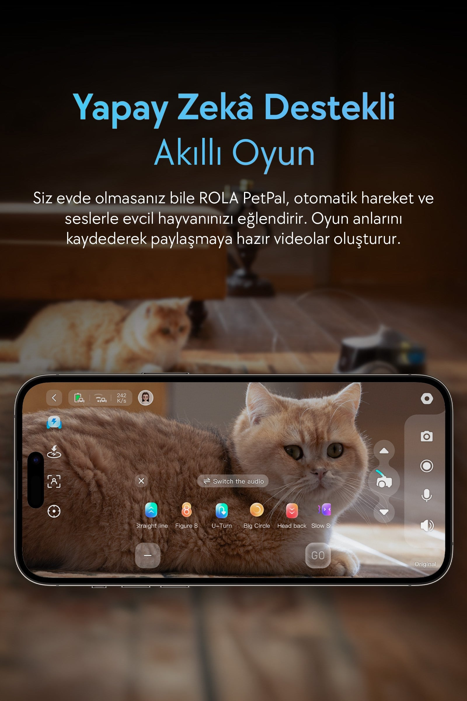 Bir akıllı telefon, yapay zeka destekli oyun arayüzü öğeleriyle bir kediyi gösteriyor.
