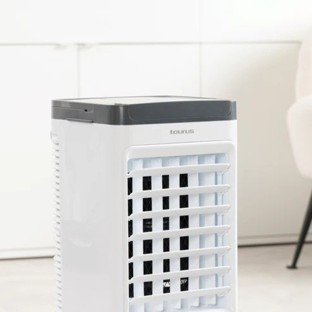 Un refrigeratore d'aria bianco con parte superiore grigia e frontale a lamelle.