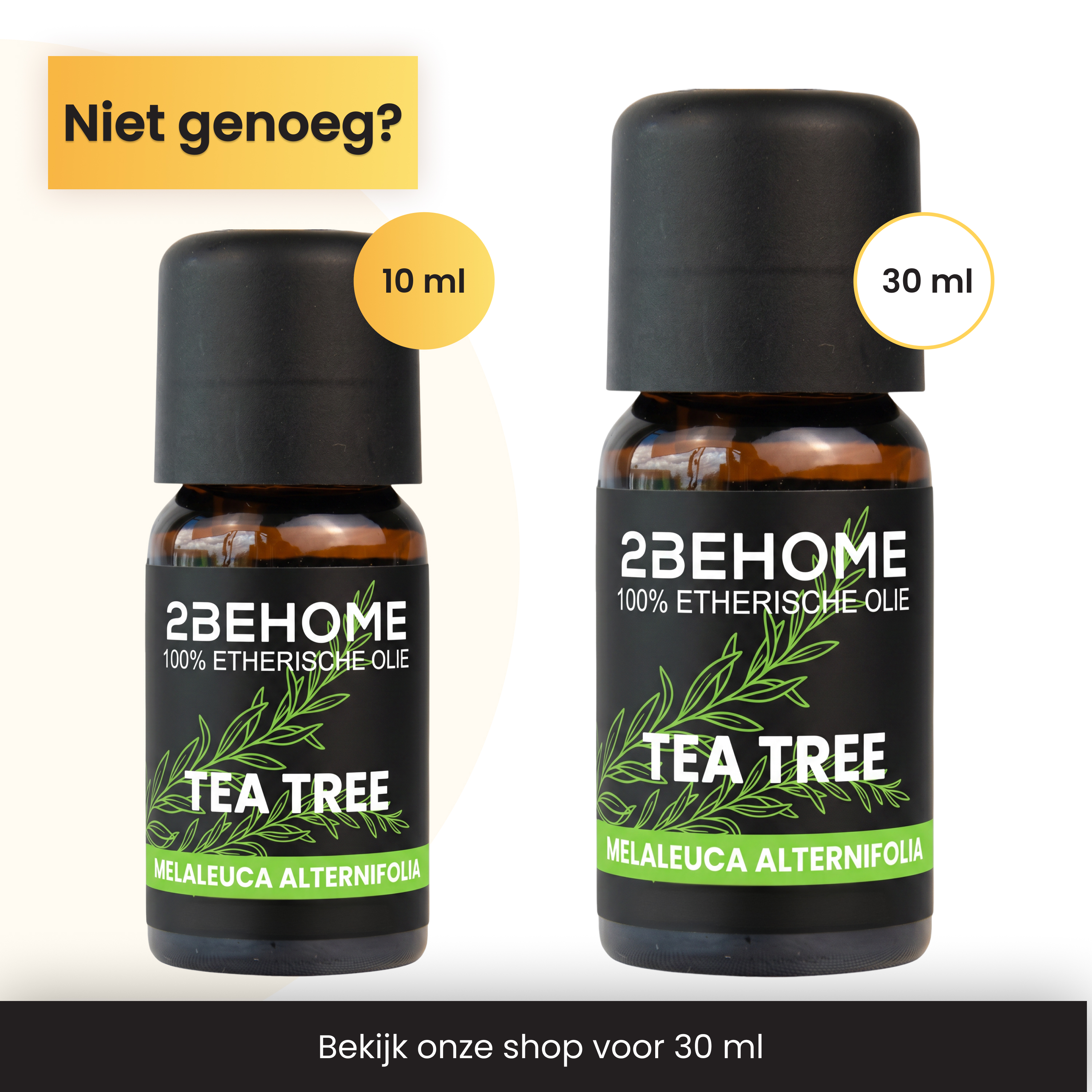 Zwei Flaschen Teebaumöl, 10ml und 30ml, mit schwarzem Deckel.