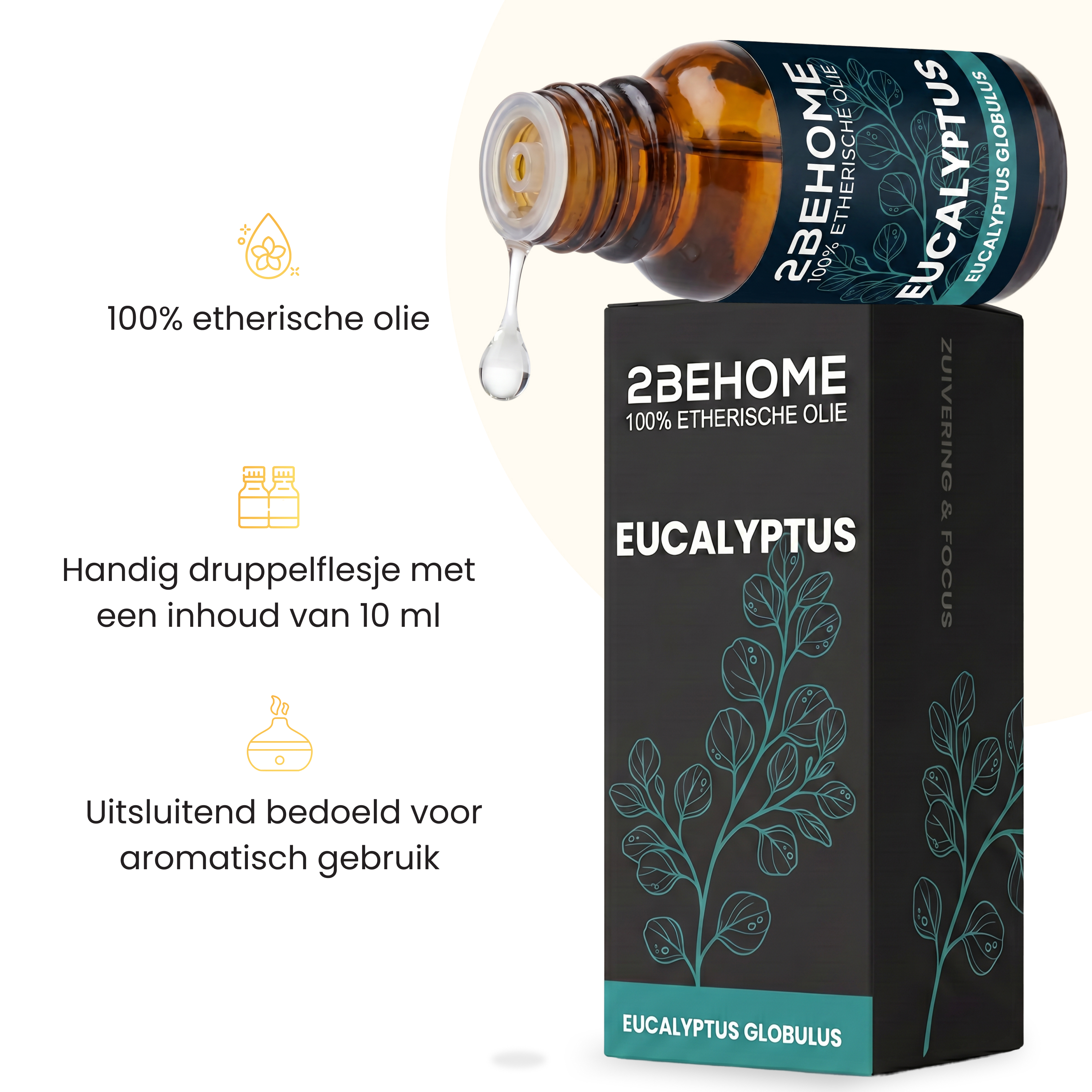 Eine braune Glasflasche mit ätherischem Eukalyptusöl und einem Karton.