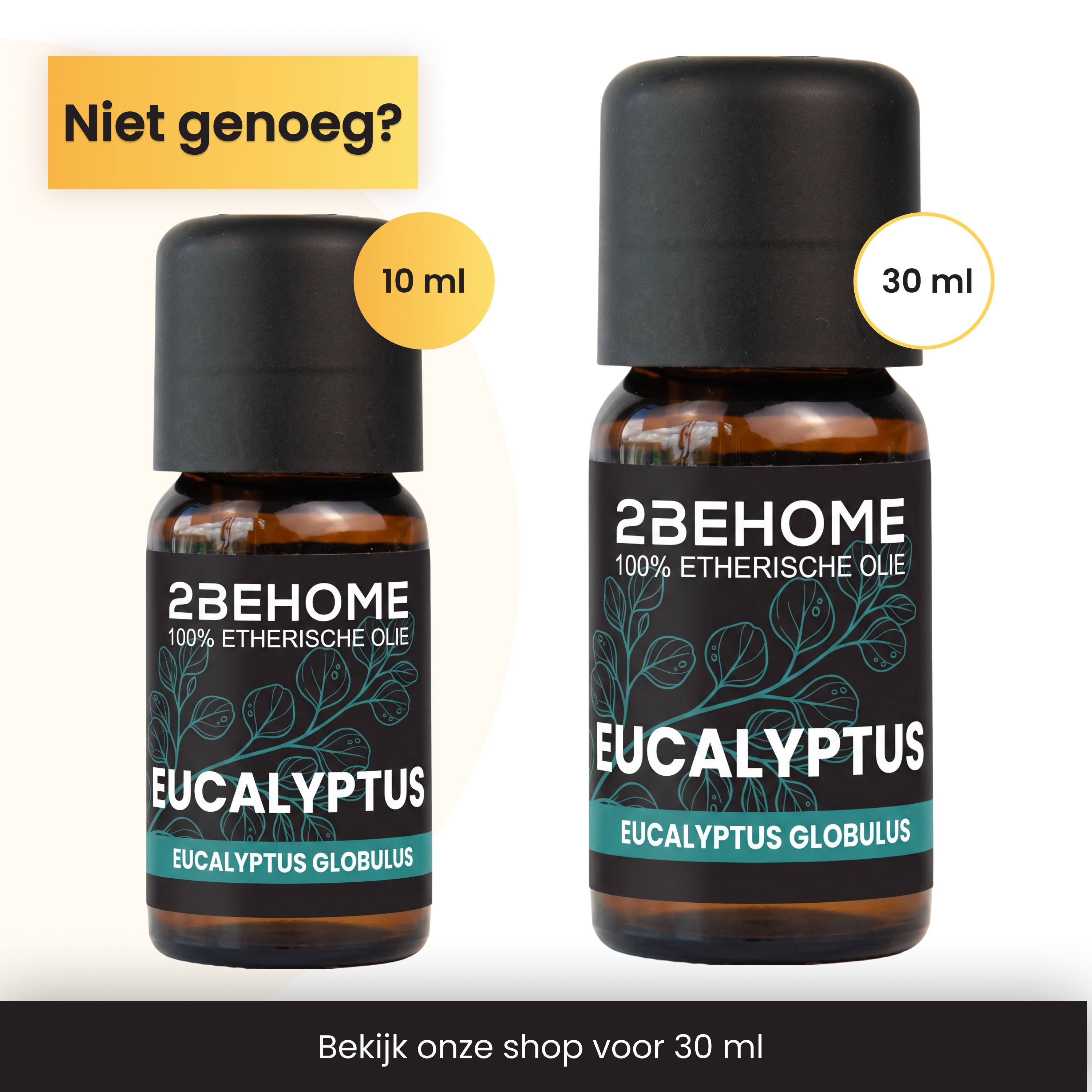 Zwei Flaschen ätherisches Eukalyptusöl von 2BEHOME in 10 ml und 30 ml.