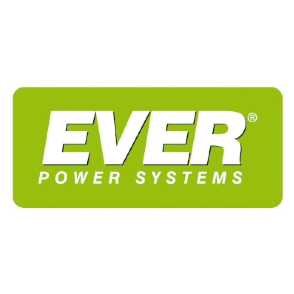 Zielone pudełko z białym napisem: EVER POWER SYSTEMS.