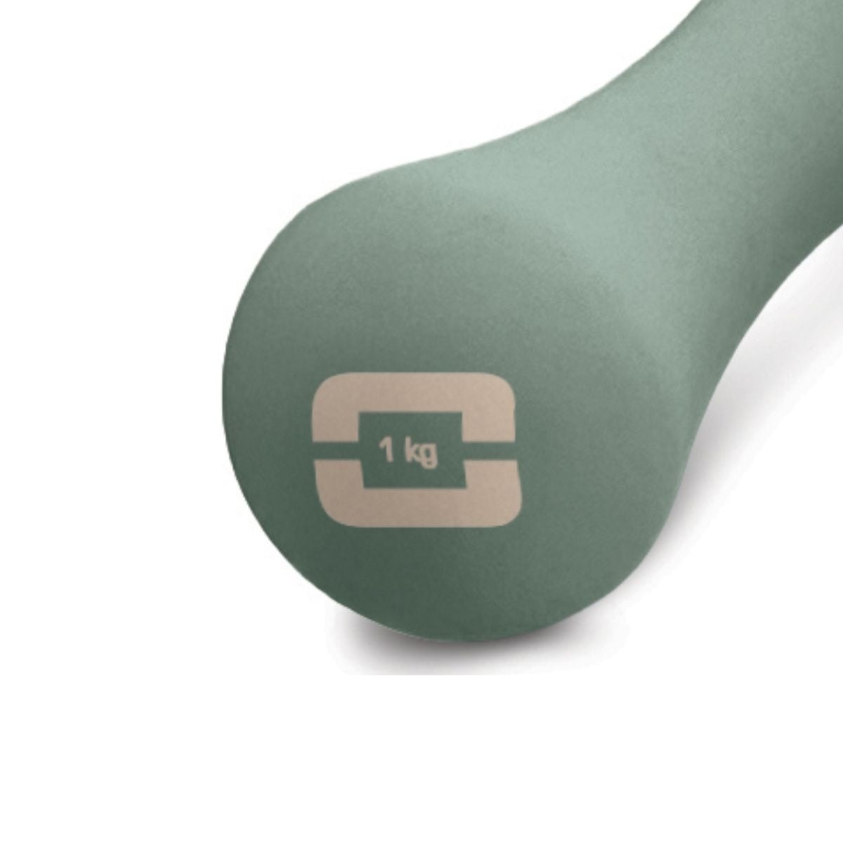 Een groene halter met "1 kg" markering op witte achtergrond.