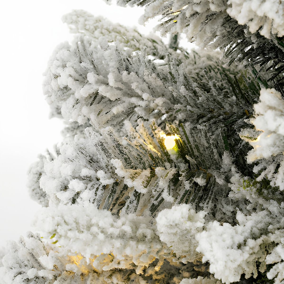 Close-up of snow-covered pine branches with lights.
