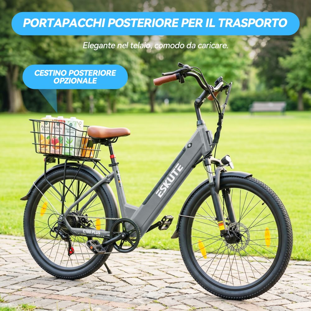 Bici elettrica grigia con portapacchi e cestino opzionale, parcheggiata su un sentiero pavimentato.