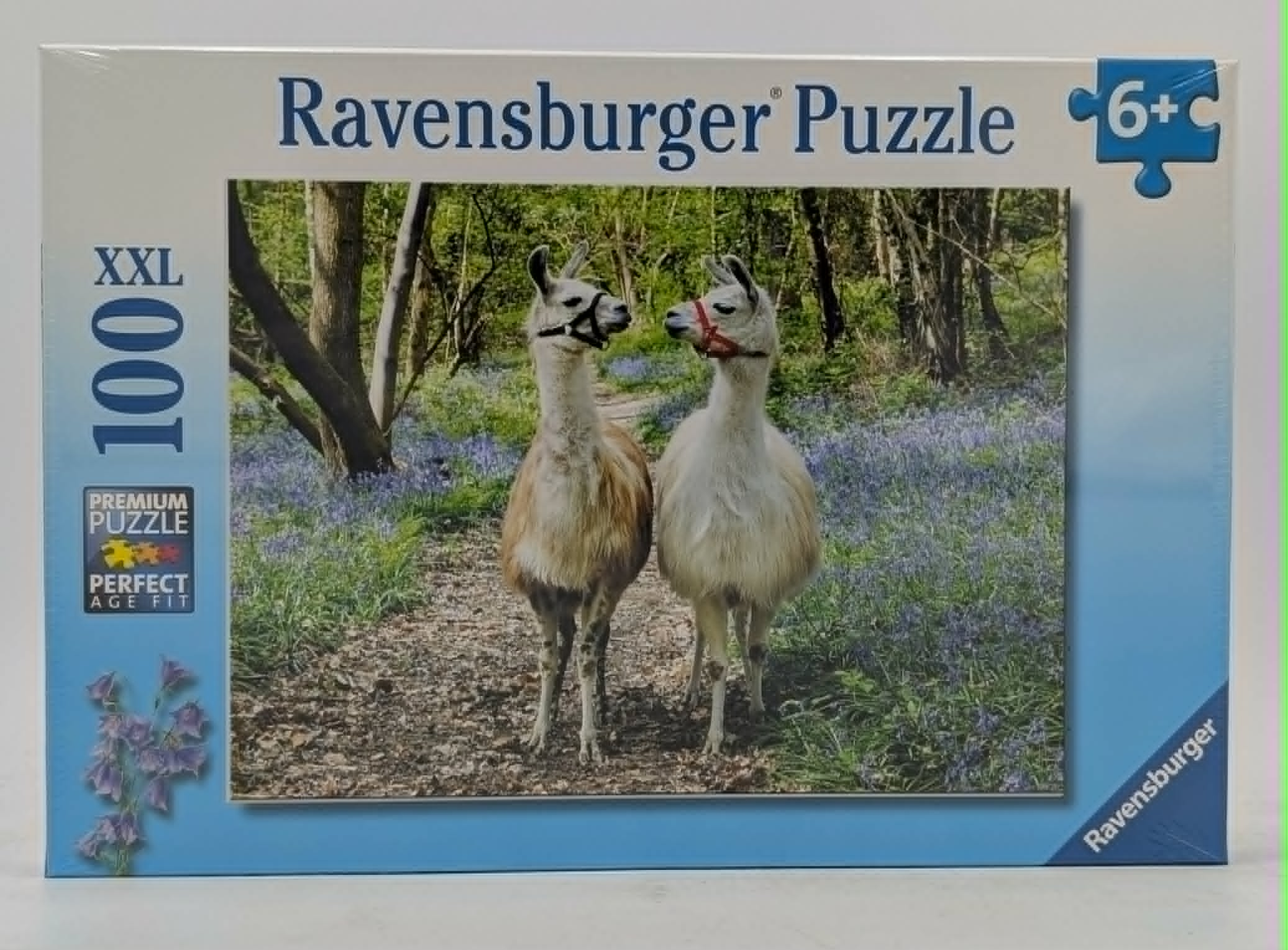 Zwei Lamas stehen in einem Feld mit blauen Blumen im Wald.