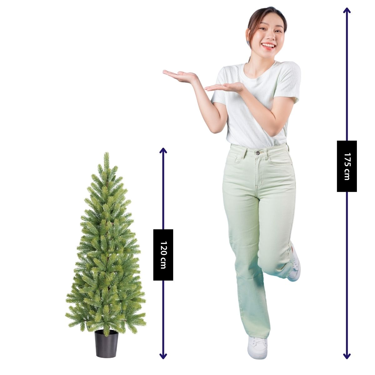 A woman next to a 120cm tree, her height is 175cm.
