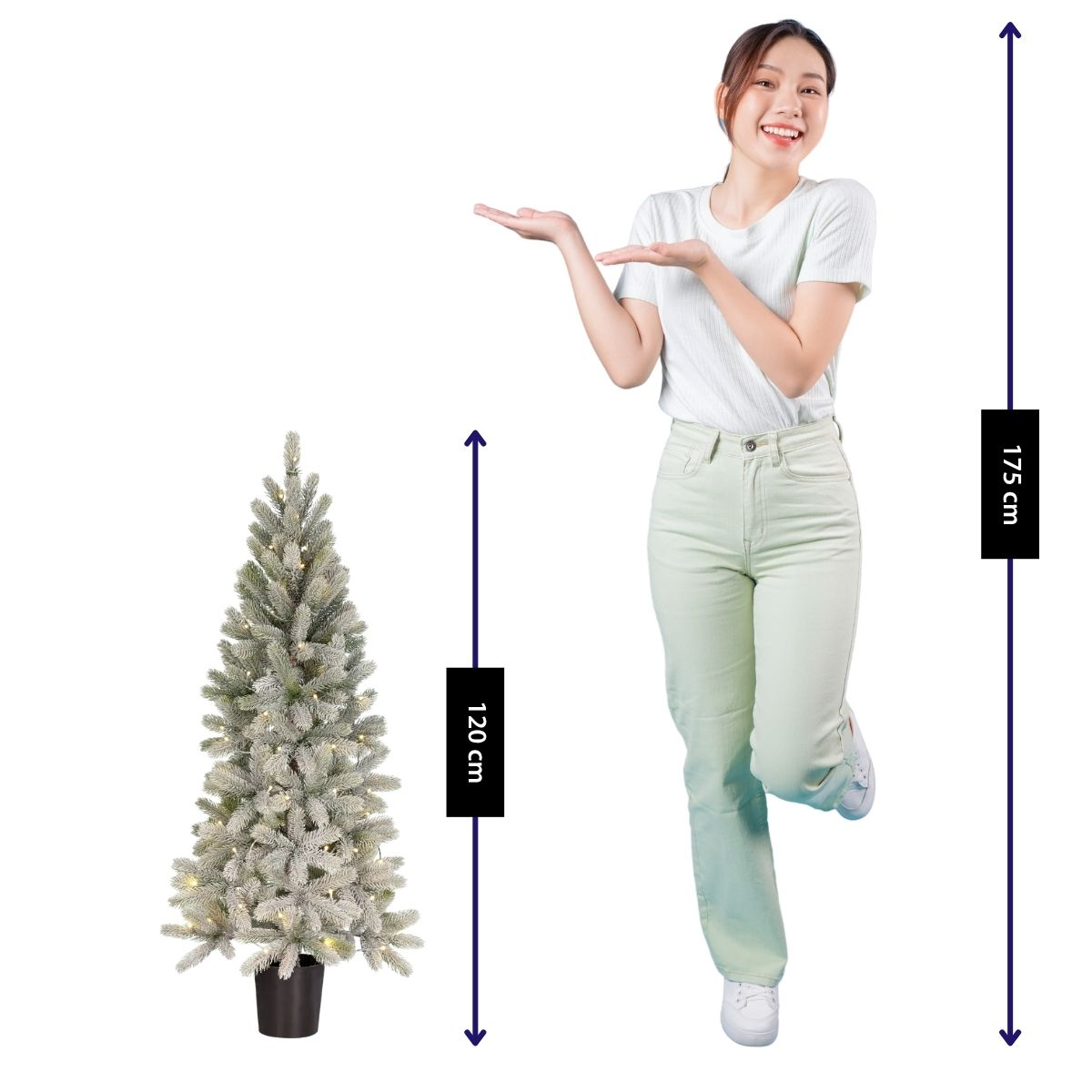 Ein 120 cm hoher Weihnachtsbaum und eine 175 cm große Frau auf weißem Hintergrund.