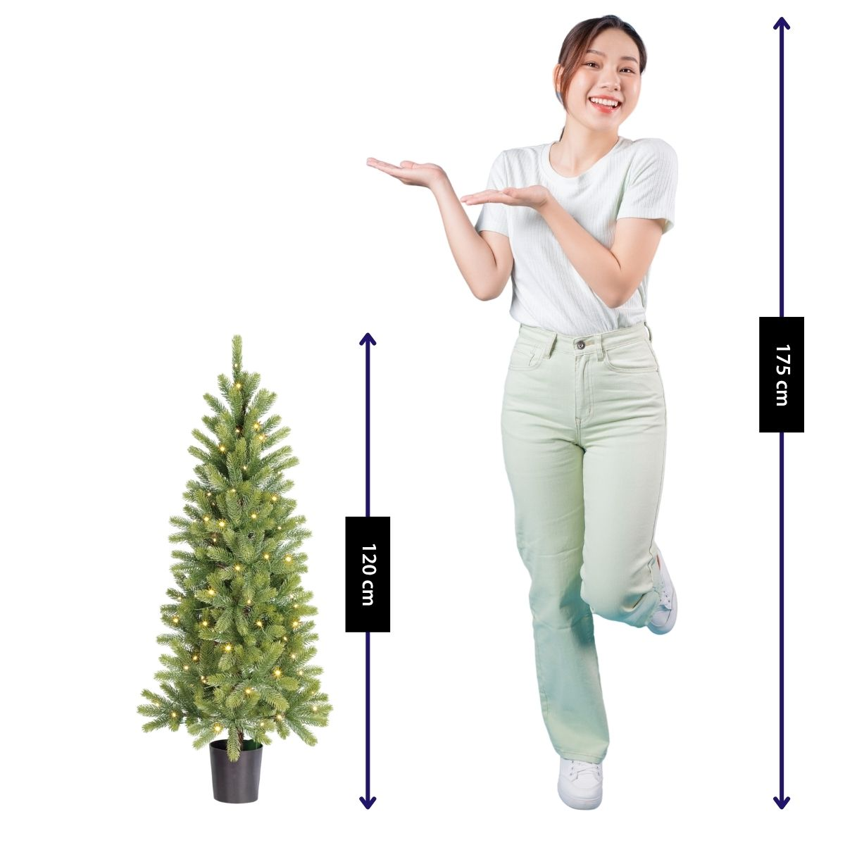 A woman (175 cm) stands next to a lit Christmas tree (120 cm).
