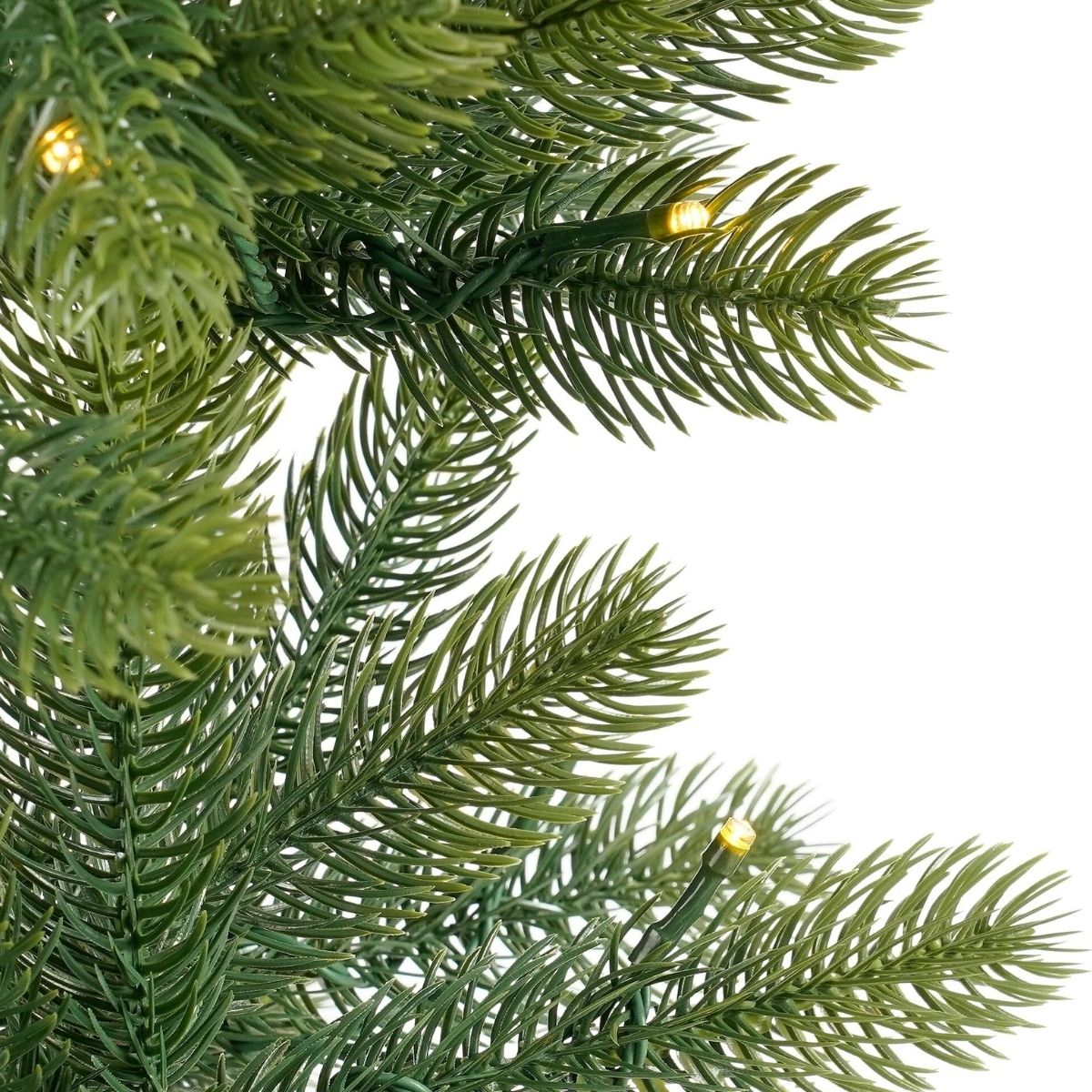 Green fir branches with small string lights on a white background.