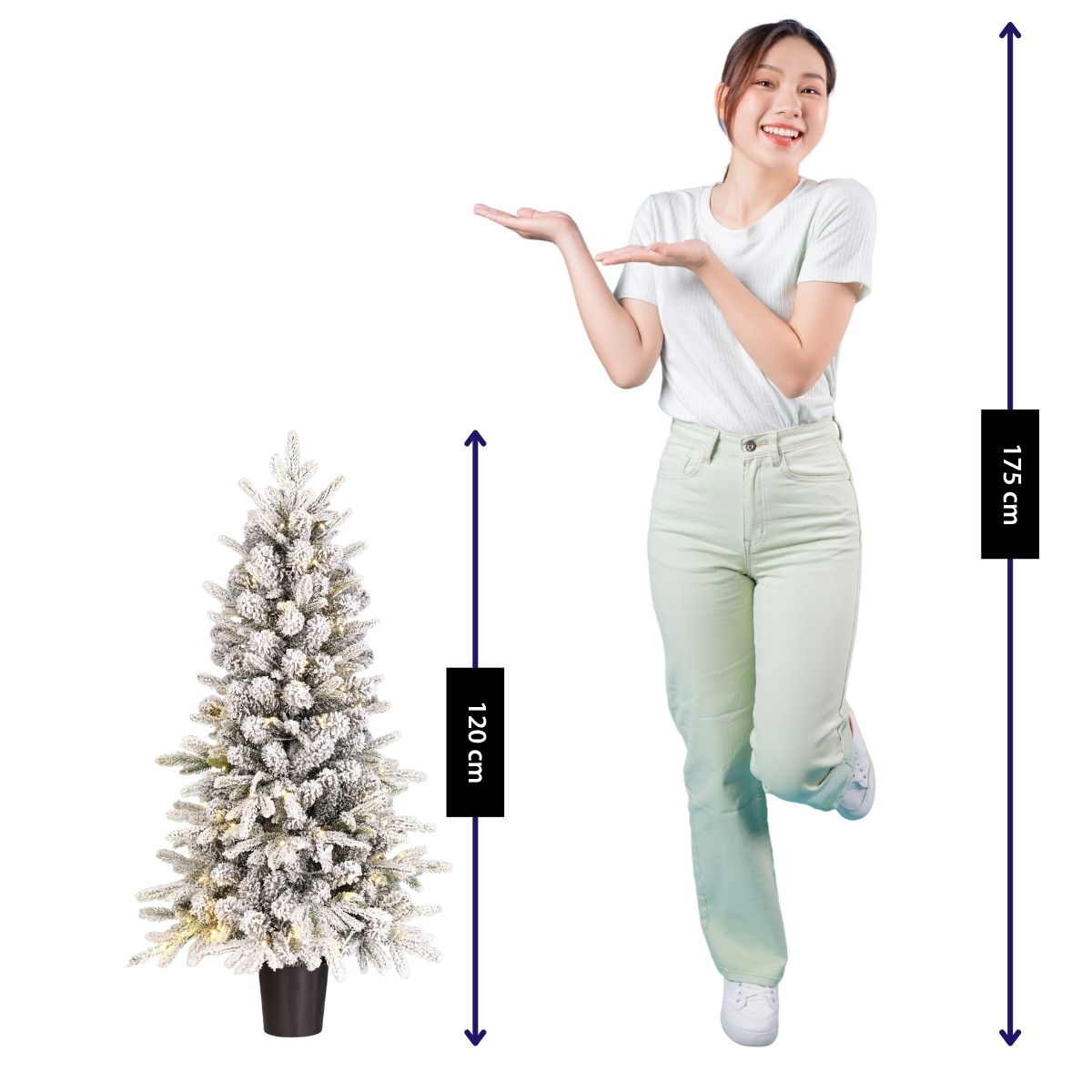A woman next to a 120cm snow-covered Christmas tree. She is 175cm tall.
