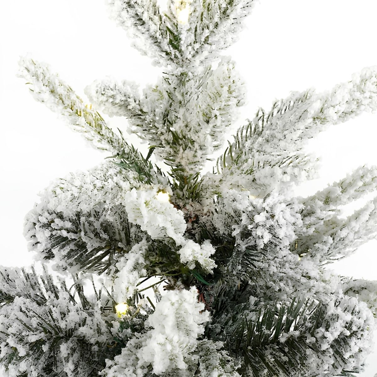 Close-up of a snow-covered Christmas tree with lights.