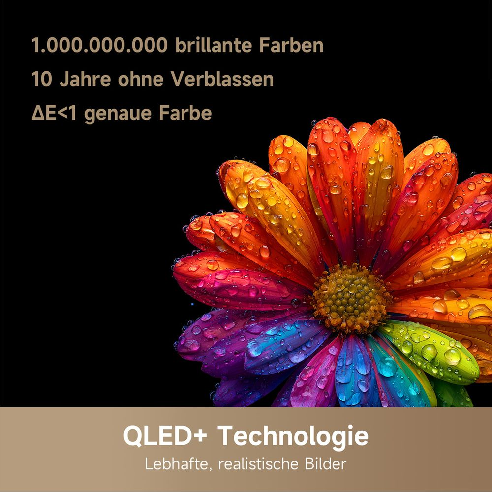 Fleur colorée avec des gouttes d'eau, technologie QLED+.