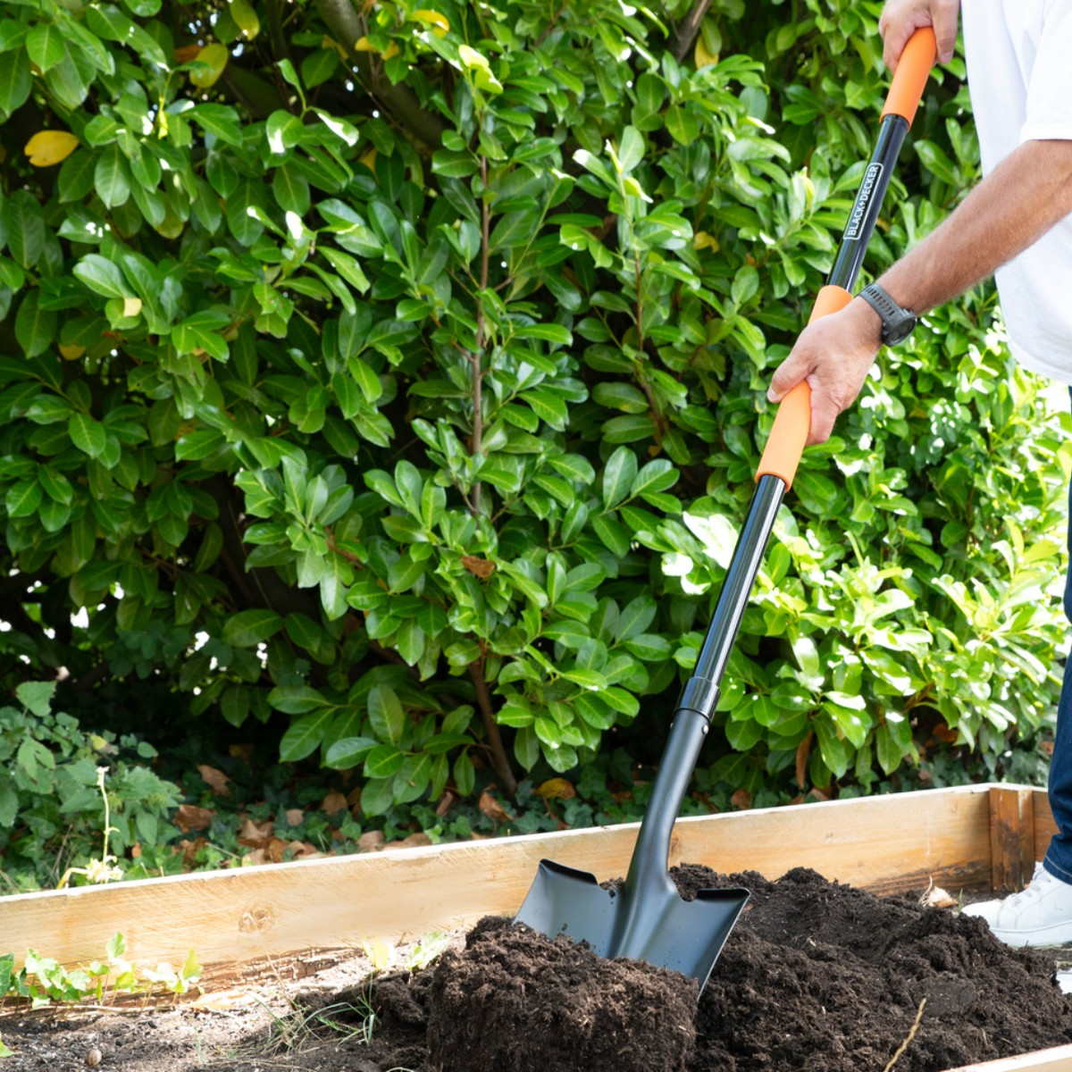 Man digging soil with a shovel in the garden. Green hedge background.