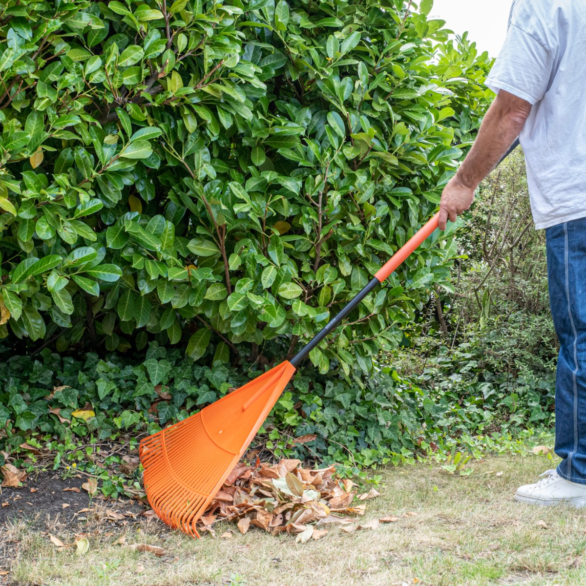 Een man in een wit T-shirt en spijkerbroek harkt bruine bladeren met een oranje hark.
