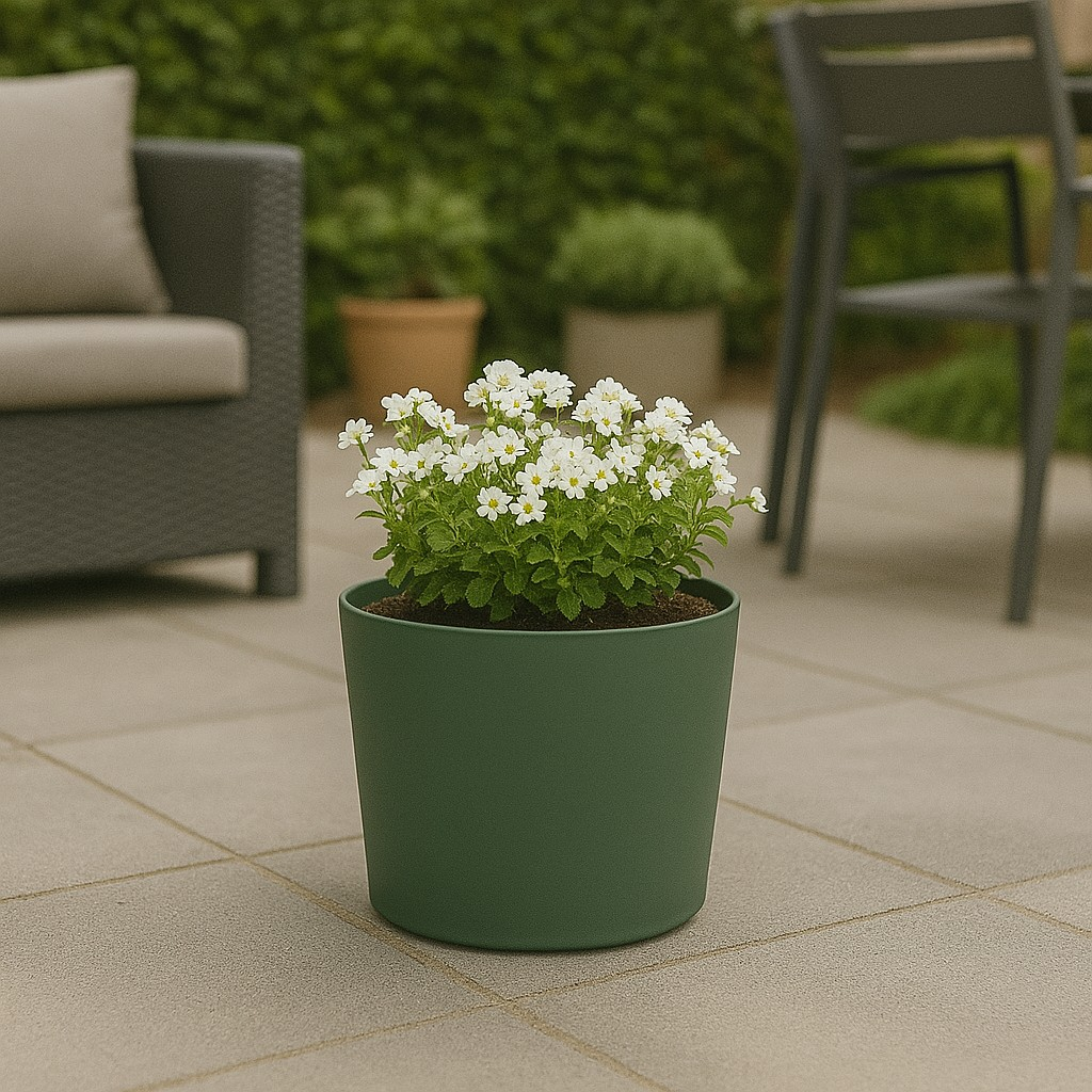 A pot of white flowers on a patio with outdoor furniture in the background.