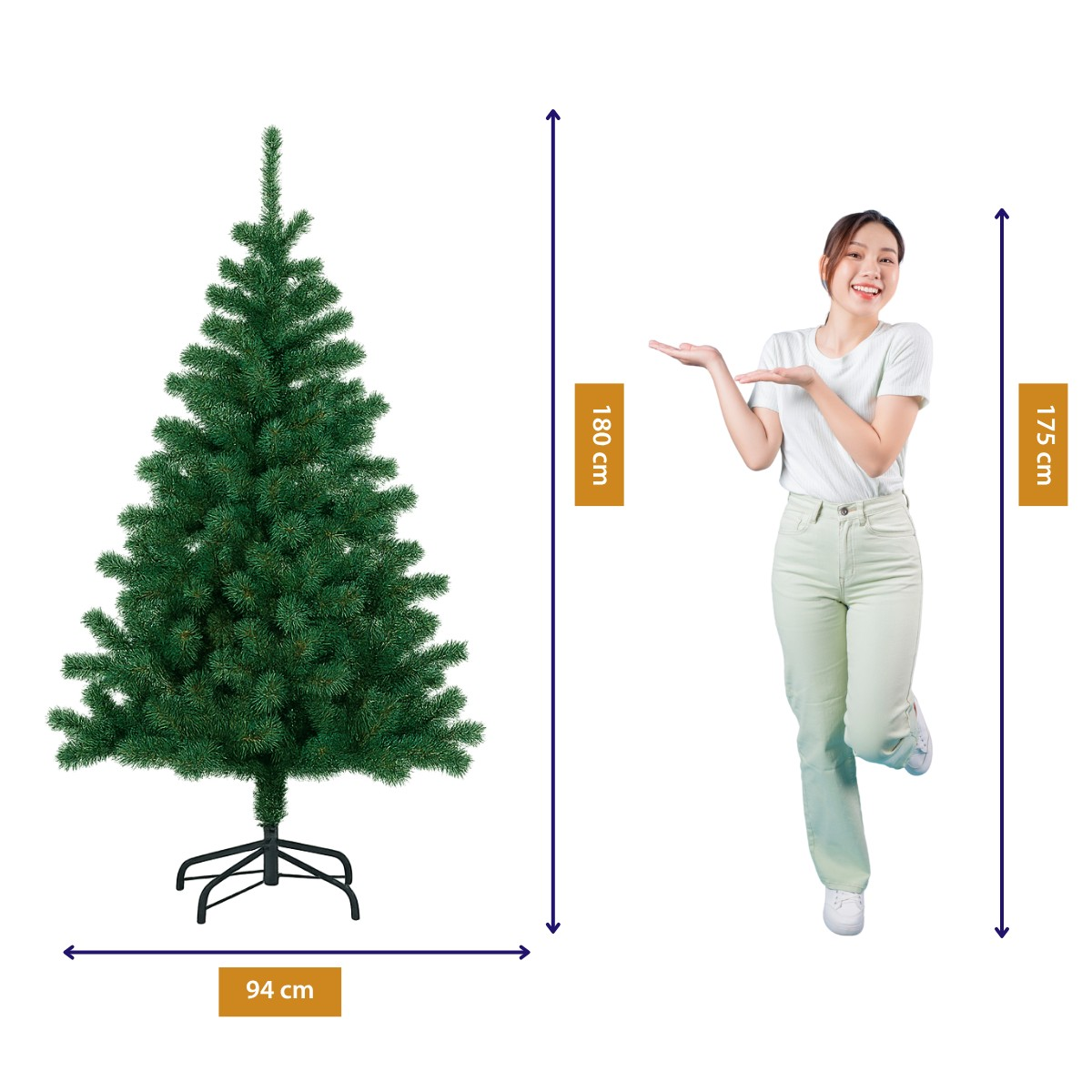 Un sapin de Noël vert (94 cm de large, 180 cm de haut) à côté d'une femme (175 cm).