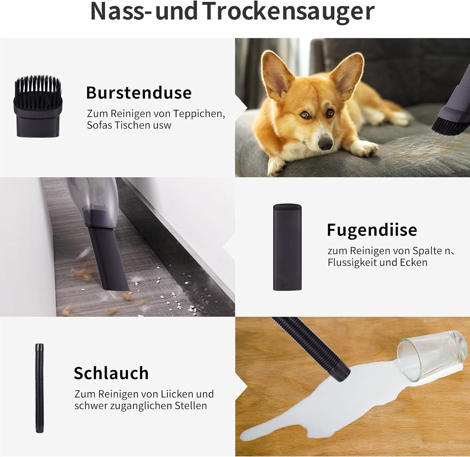 Ein Nass- und Trockensauger mit Zubehör: Bürstendüse, Fugendüse, Schlauch und ein Corgi auf einem Sofa.