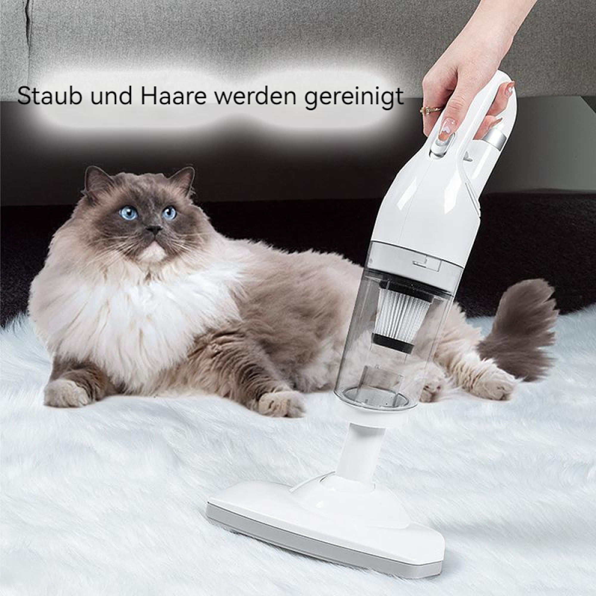 Eine Hand hält einen weißen Handstaubsauger neben einer Katze auf weißem Teppich.