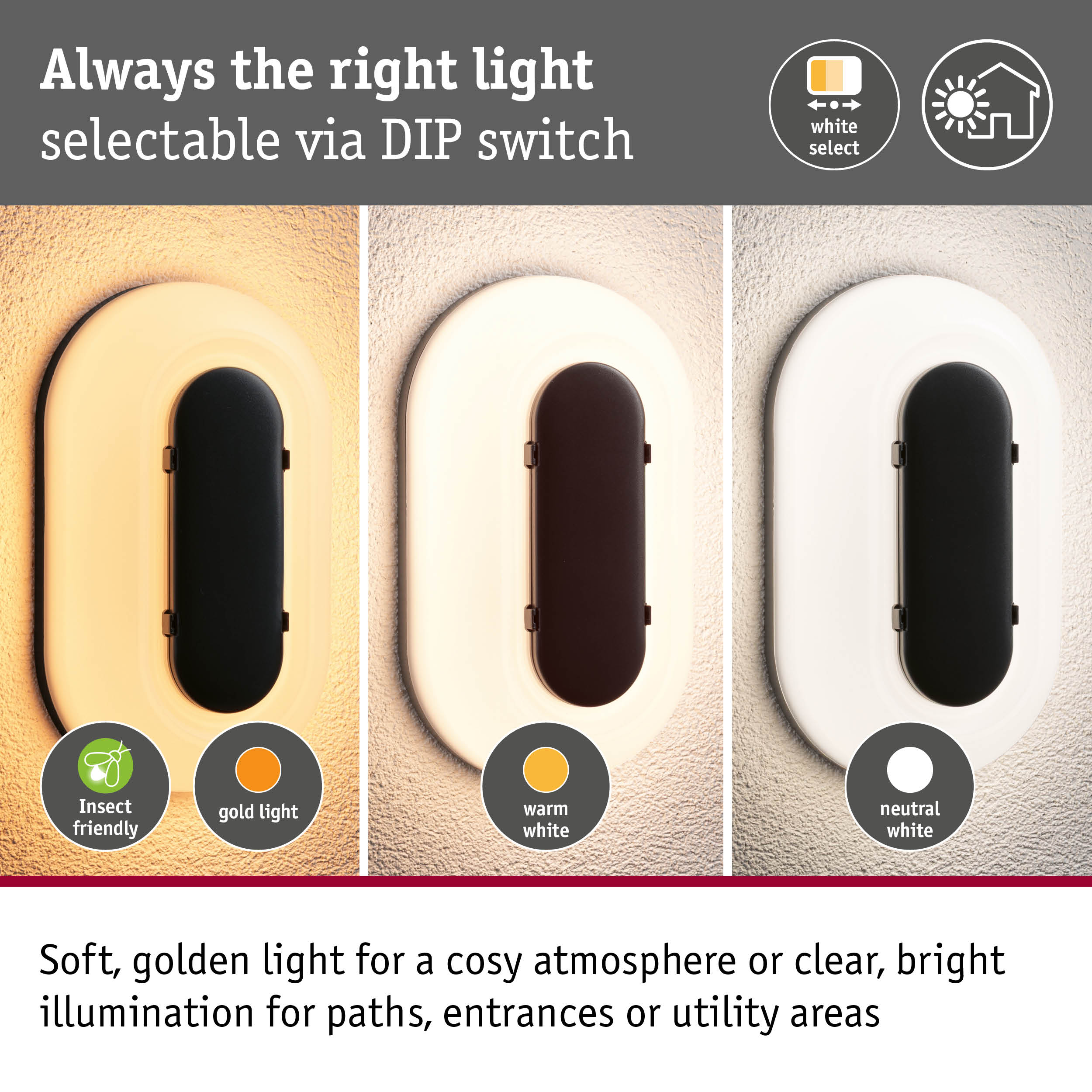 Drei Wandleuchten zeigen unterschiedliche Lichtfarben: warm, neutral und insektenfreundlich.