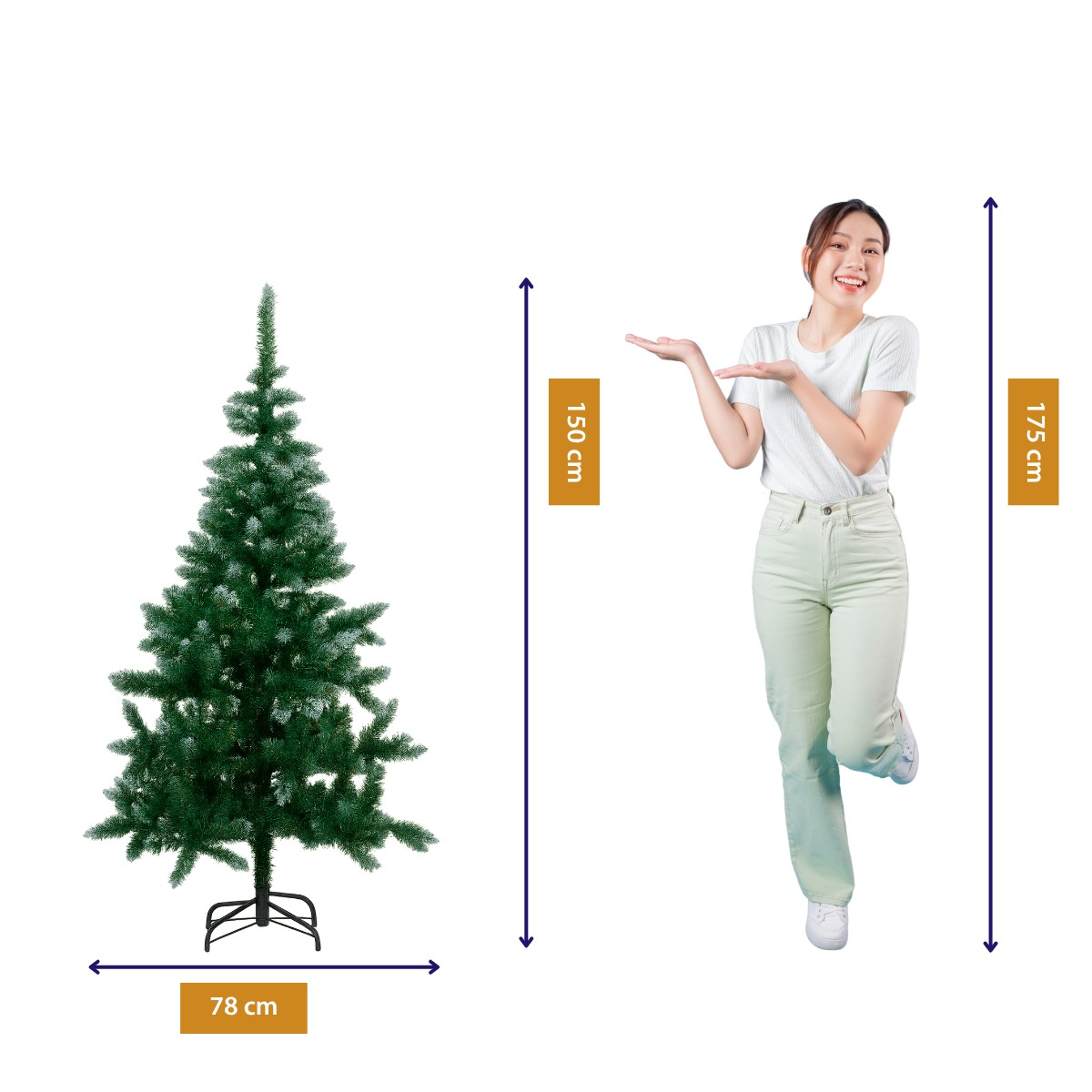 A green Christmas tree (150 cm) next to a smiling woman (175 cm).