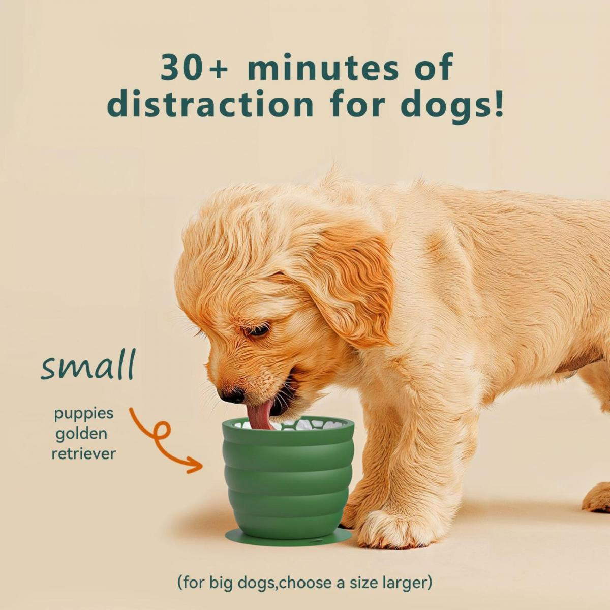 Ein Golden Retriever Welpe frisst aus einem grünen Slow-Feeder-Napf. Text: 30+ Min. Ablenkung.