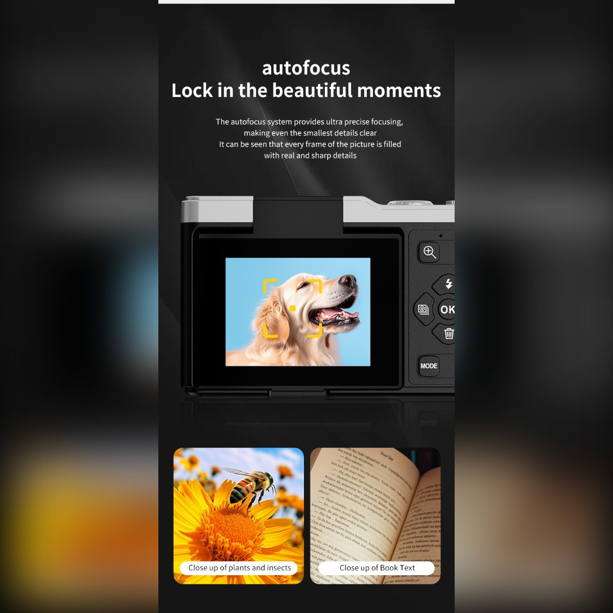 Kamera-Autofokus: Hund im Bild, Biene auf Blume, Buchseiten. Nahaufnahmen.