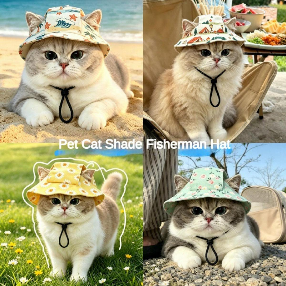 Vier Katzen in Fischerhüten: eine am Strand, eine im Stuhl, eine im Gras, eine auf Kies.
