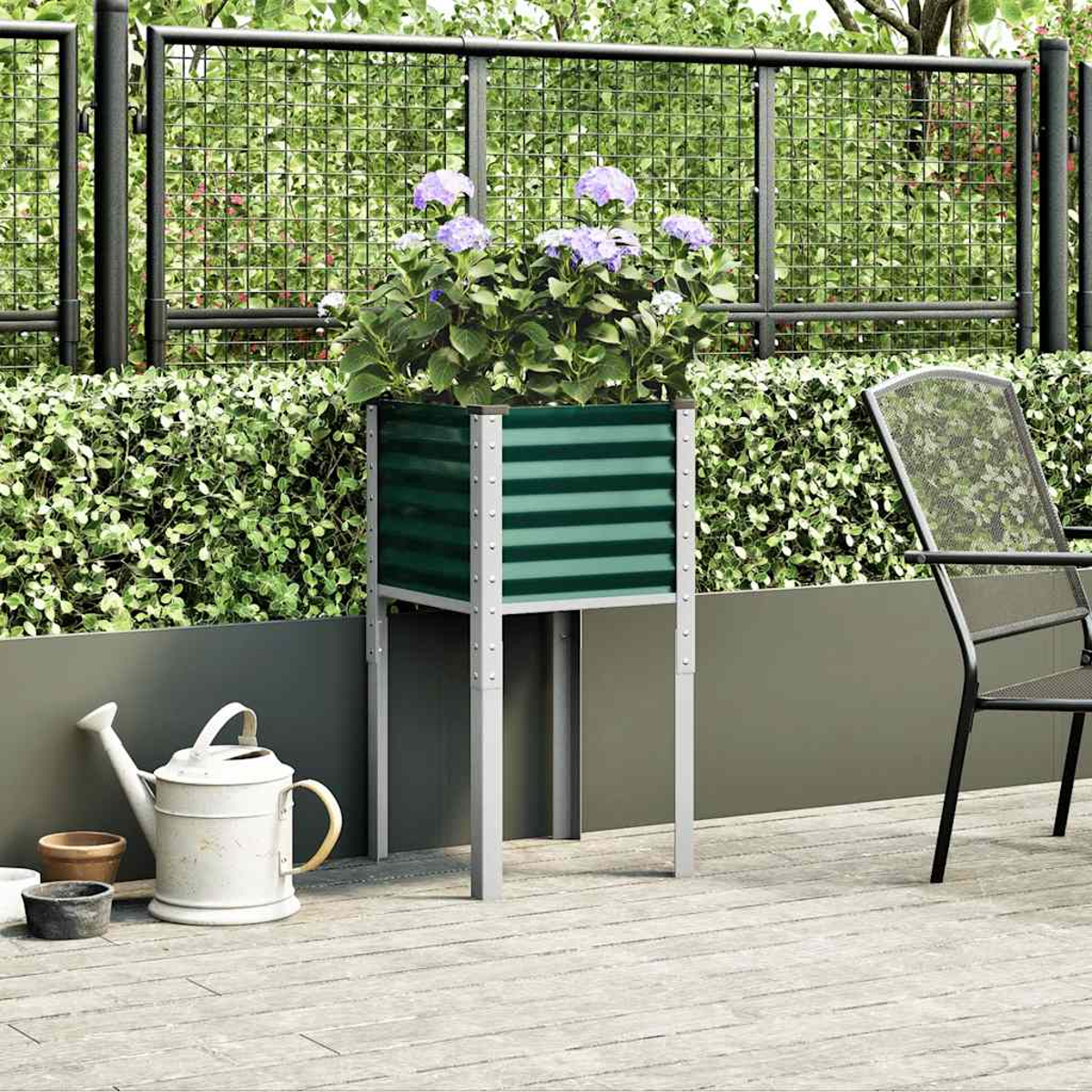 Un'aiuola rialzata con ortensie viola si trova su una terrazza di legno, con un annaffiatoio nelle vicinanze.