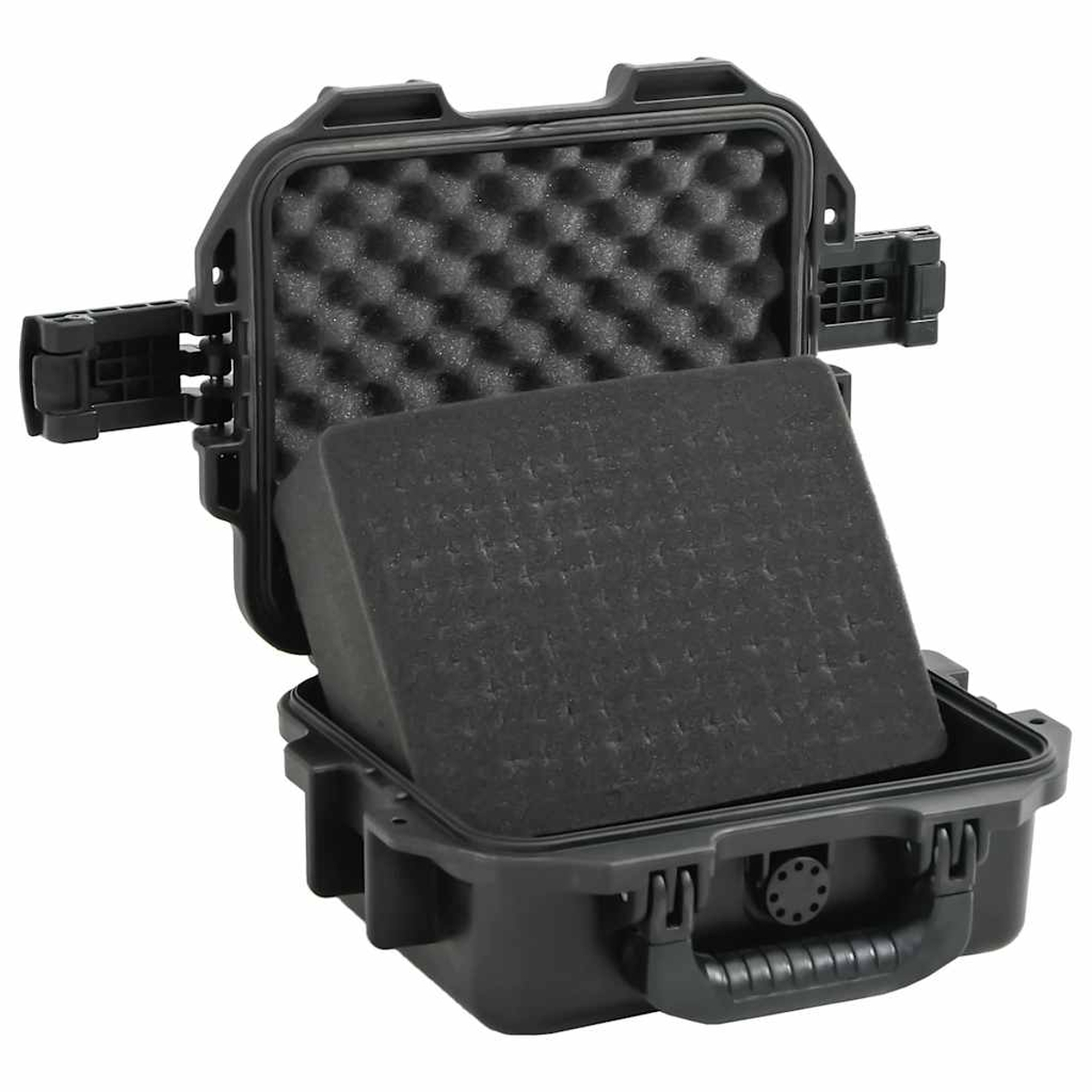 Eine schwarze, offene Schutzbox mit Schaumstoffeinlage, auf weißem Hintergrund.