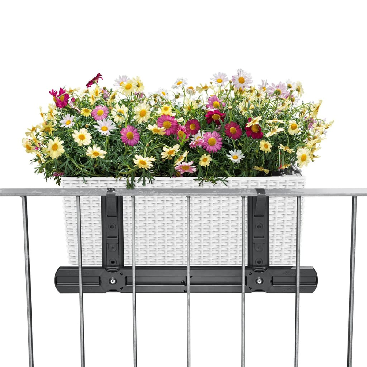Jardinière avec fleurs colorées accrochée à une balustrade.