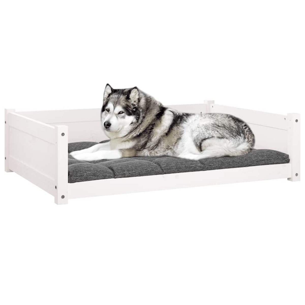 Ein Husky-Hund ruht auf einem weißen Hundebett aus Holz mit grauem Kissen.