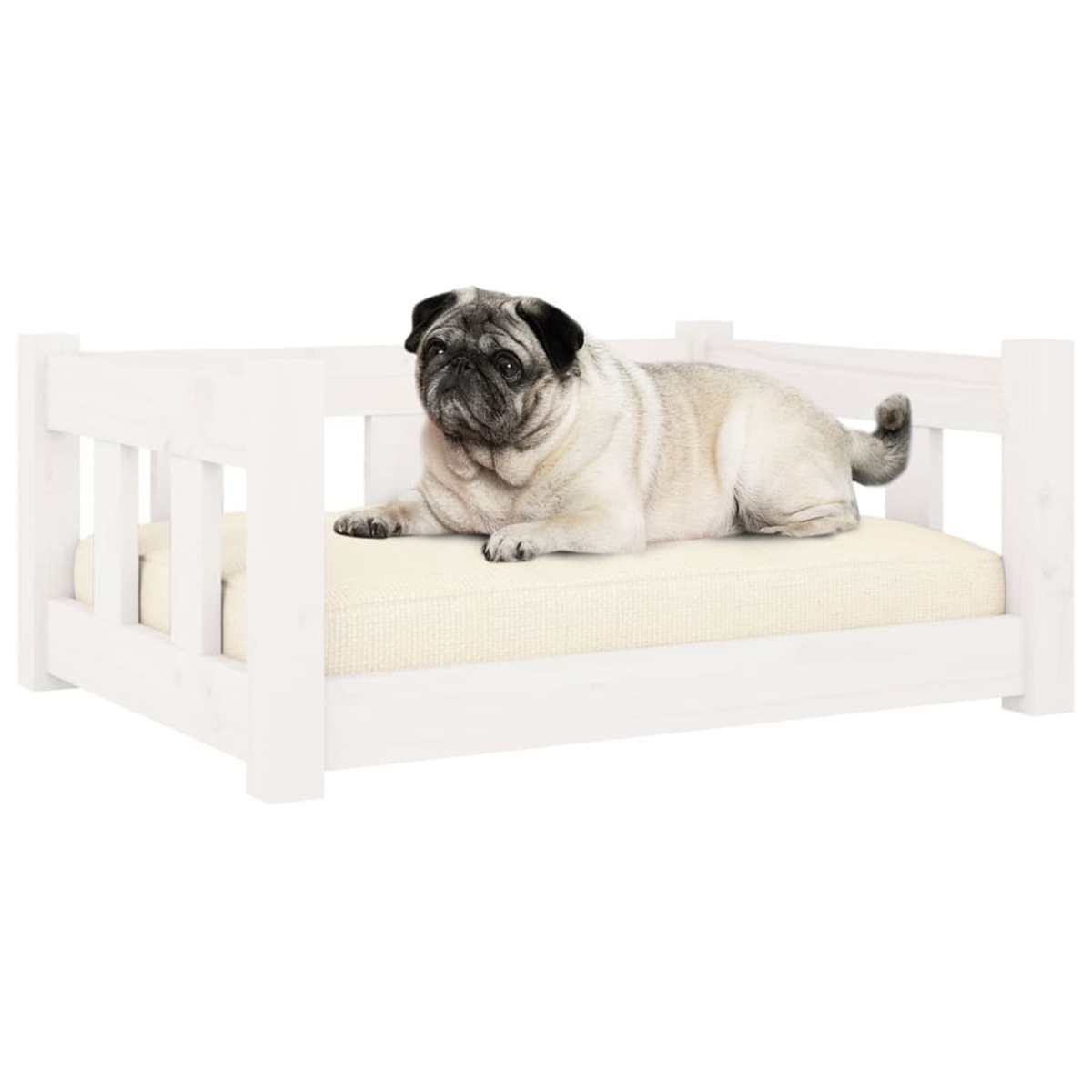 Ein Mops liegt auf einem weißen Hundebett mit cremefarbener Liegefläche.