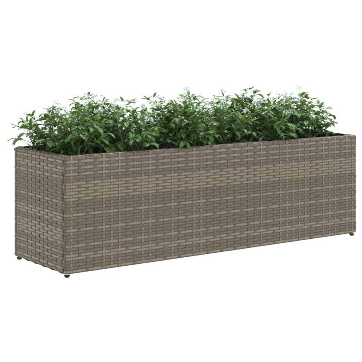 Un lungo fioriera in rattan grigio con piante verdi e piccoli fiori bianchi.