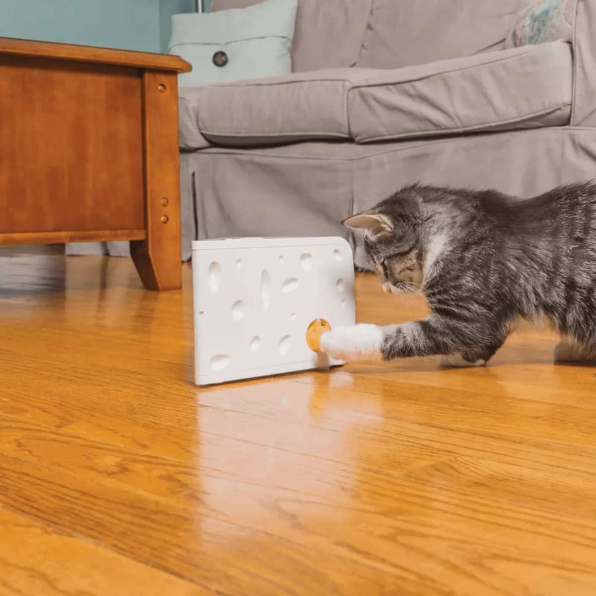 Un gatto gioca con un giocattolo bianco su un pavimento di legno.