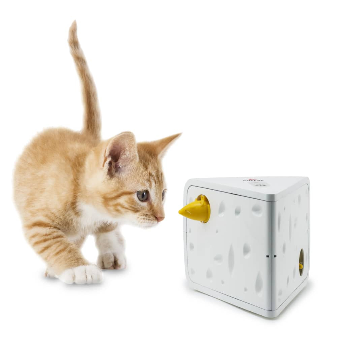 Un gattino arancione guarda incuriosito un giocattolo bianco a forma di formaggio con elementi gialli.