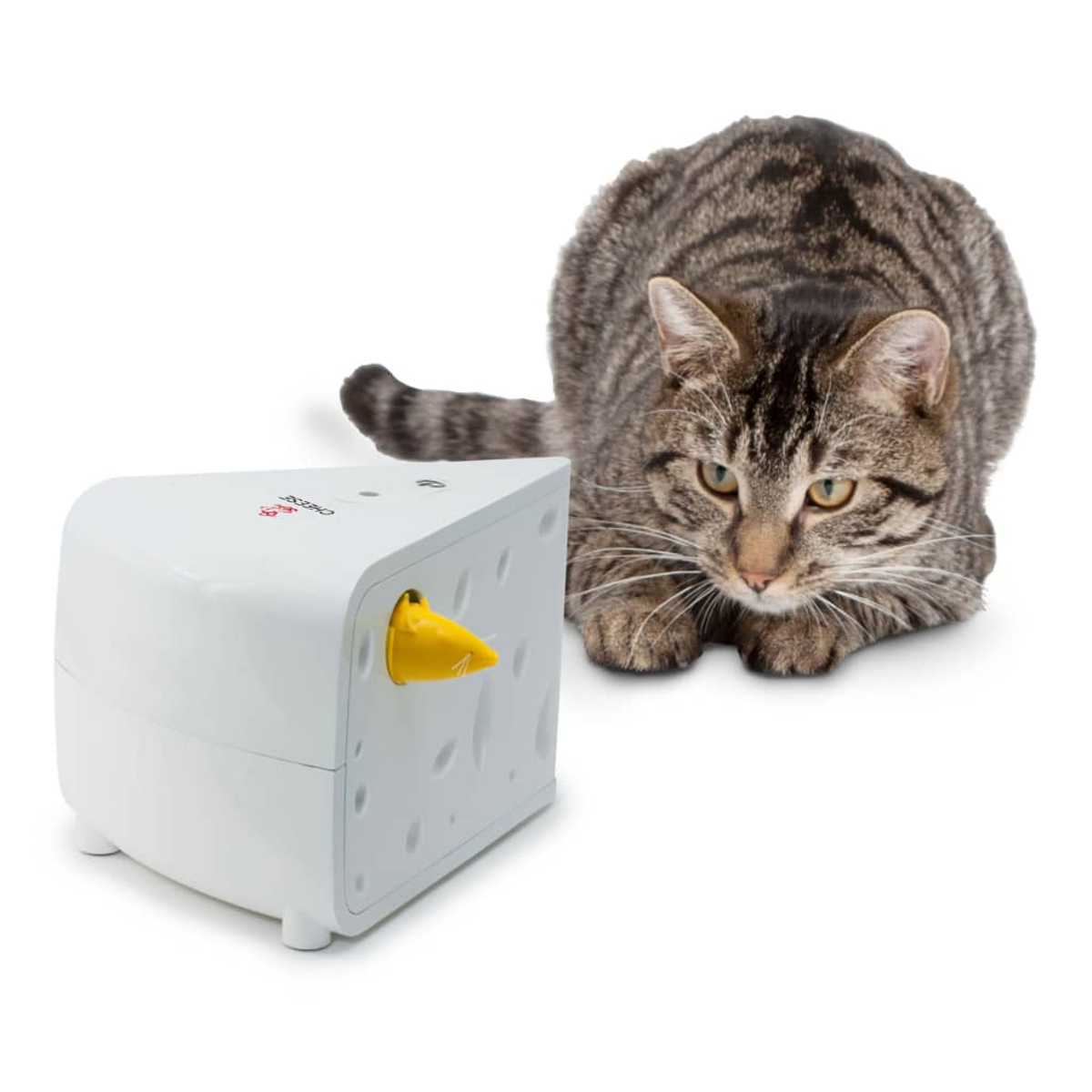 Un gatto accovacciato accanto a un giocattolo bianco a forma di formaggio con un topo giallo.
