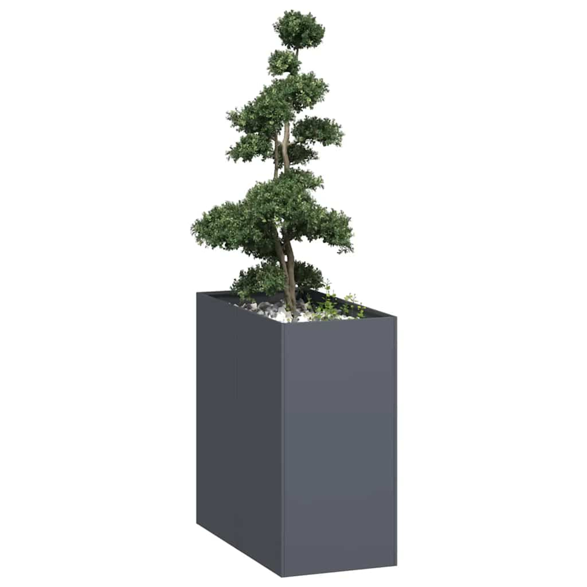 Ein grüner Baum in einem rechteckigen grauen Topf mit Steinen und Erde.