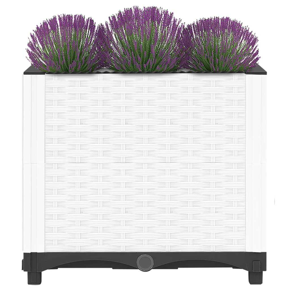 Ein weißer rechteckiger Blumenkasten mit Rattan-Optik und drei Büscheln Lavendel.