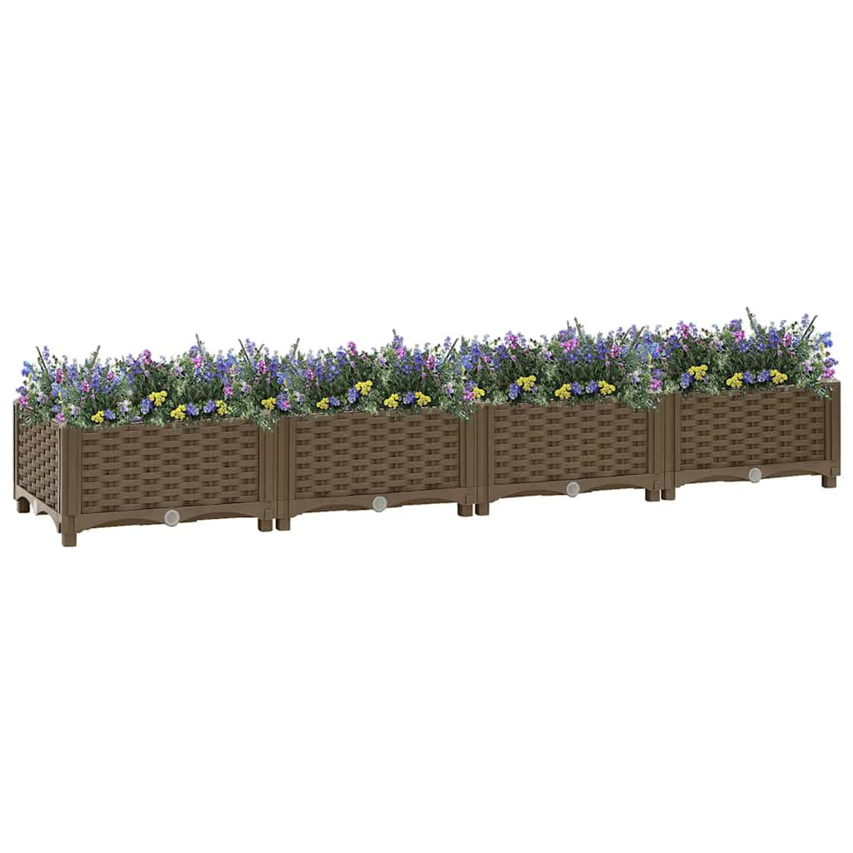 Braune Blumenkästen mit lila und gelben Blumen, auf weißem Hintergrund.