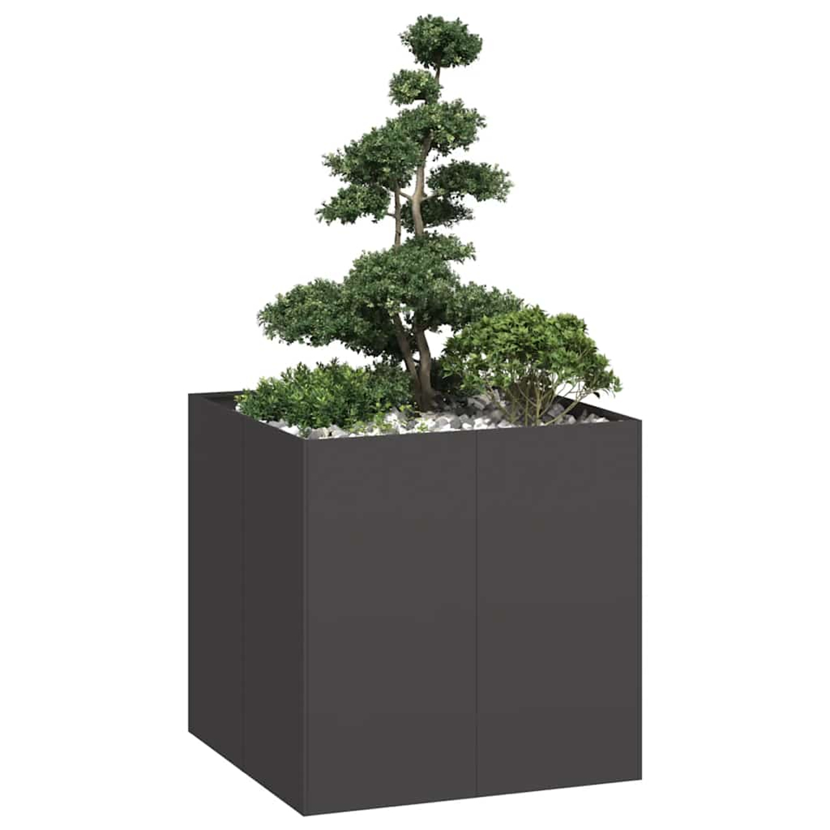 Un bonsai e cespugli in un fioriera cubica grigio scuro su sfondo bianco.