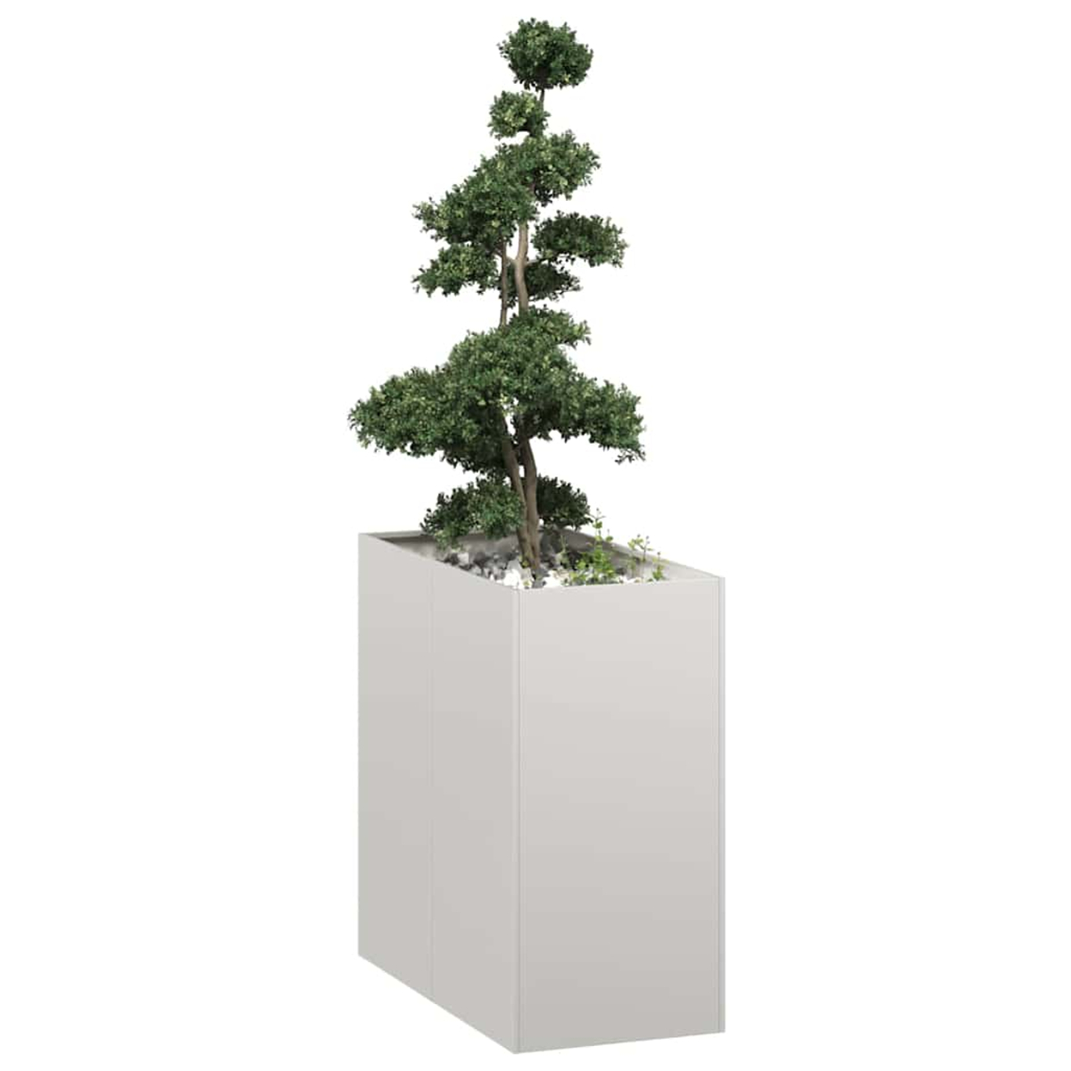 Un albero verde in un fioriera rettangolare grigia, su sfondo bianco.