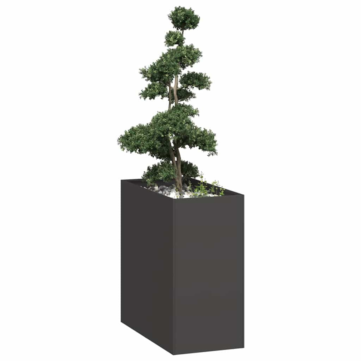Un bonsai verde in un vaso rettangolare scuro con ghiaia e piccole piante.