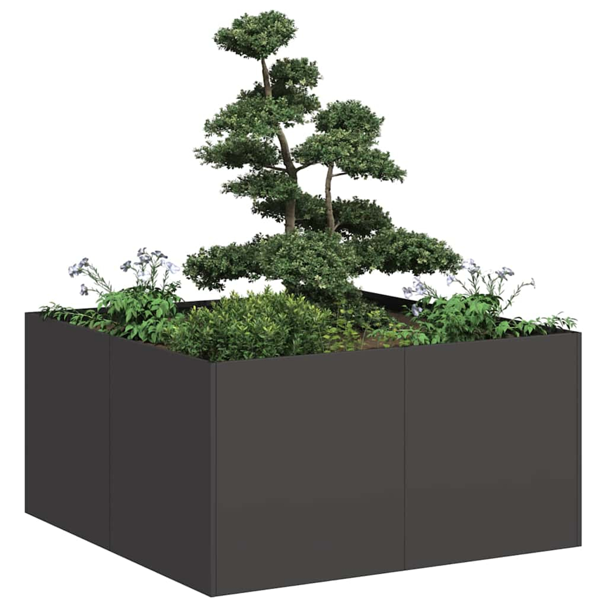 Fioriera grigio scuro con un albero bonsai, arbusti verdi e piccoli fiori bianchi.
